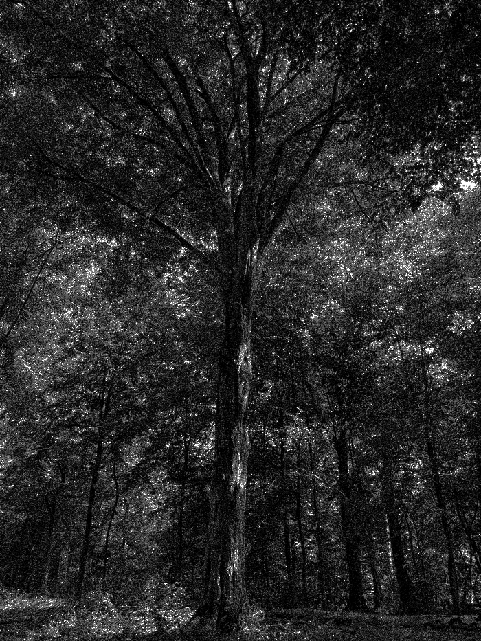 Backgroound Image